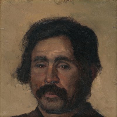 Frammento di uno studio della testa di una zingara da Laszlo Mednyanszky